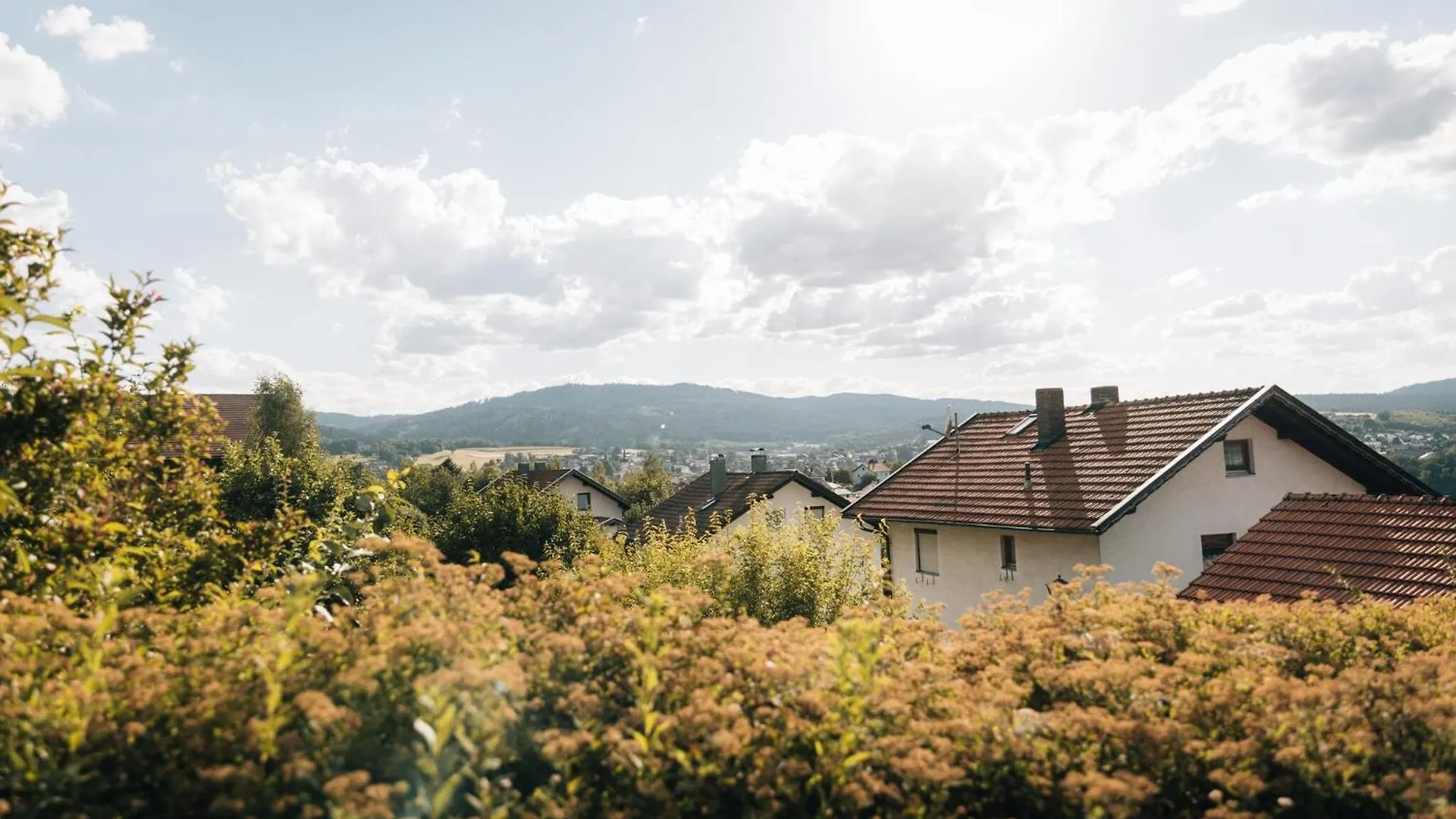 Holiday Home With Whirlpool And Sauna In Viechtach