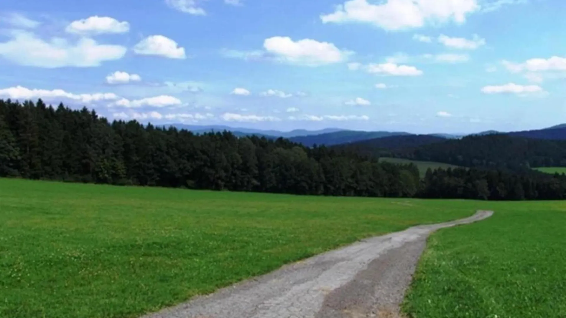 Holiday Home With Whirlpool And Sauna In Viechtach Germany