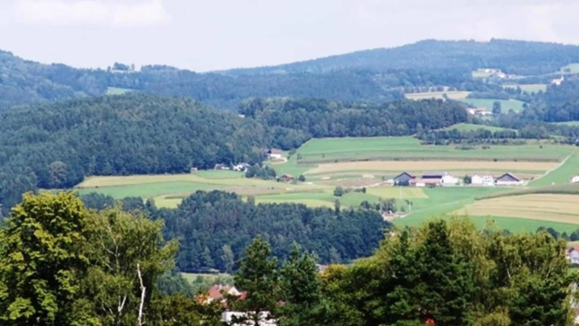 Holiday Home With Whirlpool And Sauna In Viechtach Germany