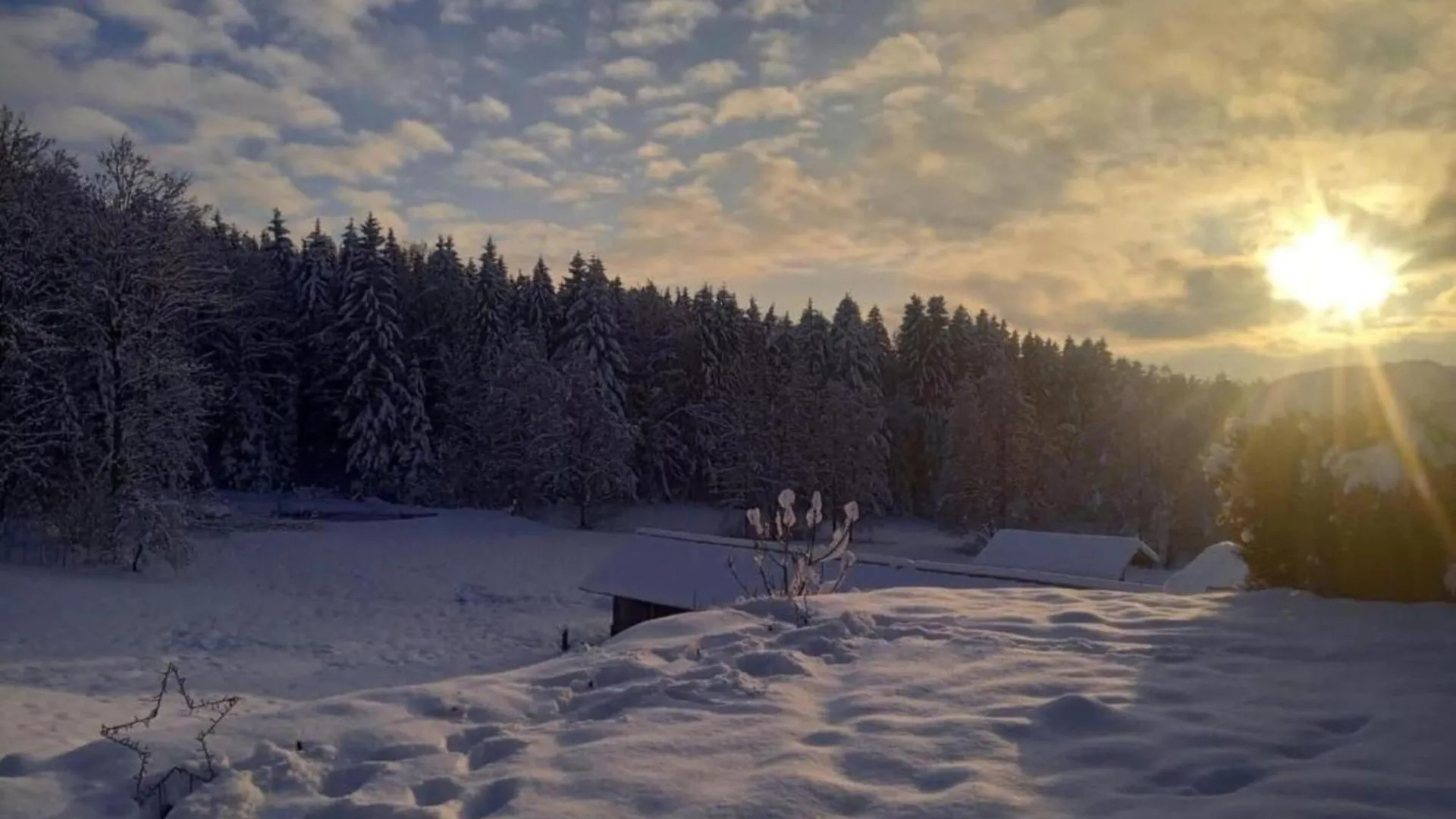 Holiday Home With Whirlpool And Sauna In Viechtach